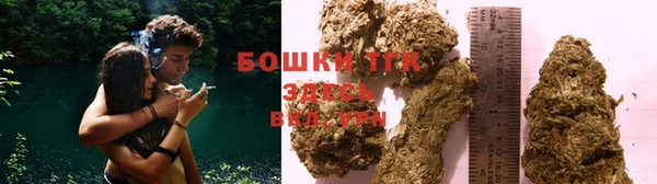 стаф Елабуга