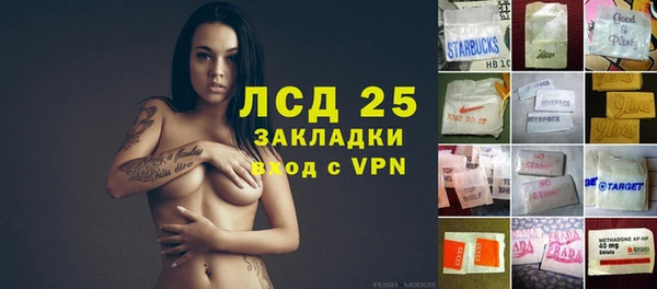 стаф Ельня