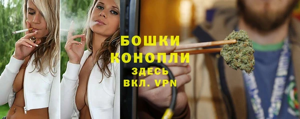 стаф Ельня