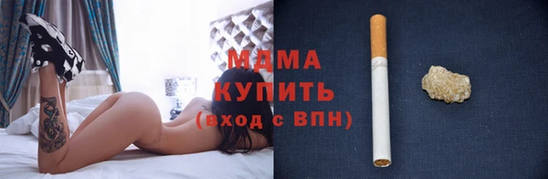 стаф Ельня