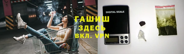 стаф Елабуга