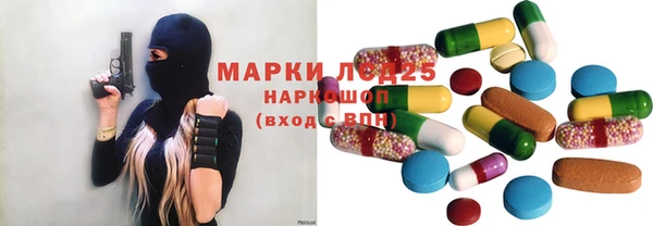 стаф Ельня