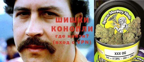 стаф Ельня