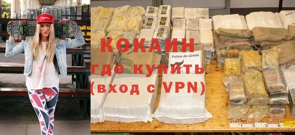 стаф Ельня