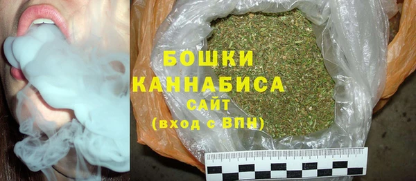 стаф Ельня