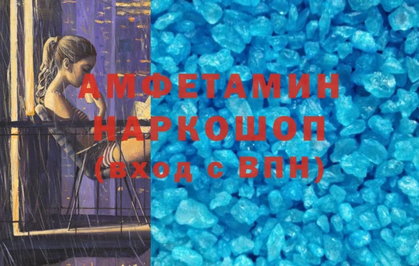 стаф Ельня