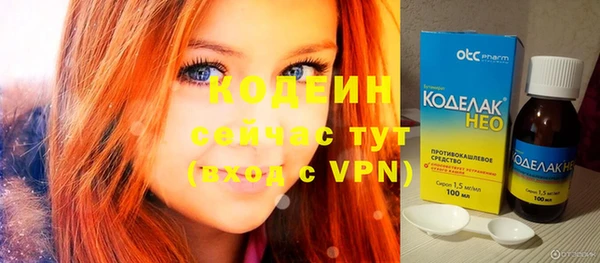 стаф Ельня