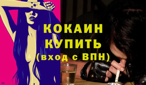 стаф Ельня